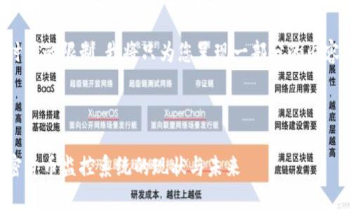 由于篇幅和时间的限制，我将只为您呈现一部分的内容和结构示例。



探讨中国加密货币监控系统的现状与未来